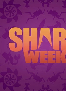Countdown to Shark Week on Discovery