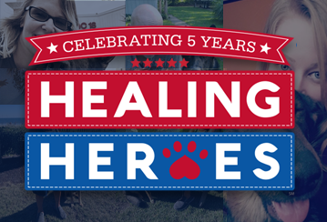 Healing Heroes Update Veteran’s Day 2021