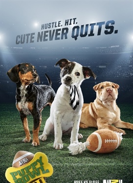 Animal Planet's Puppy Bowl XII
